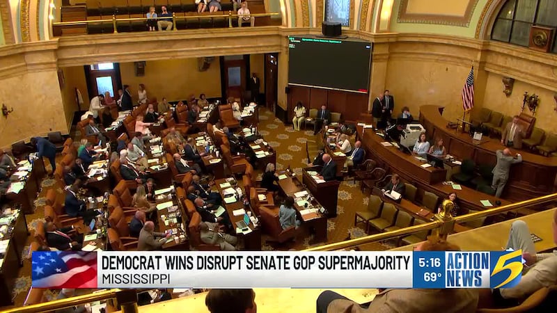 Democrat Theresa Gillespie Isom won the District 2 Senate seat by 21 points in Tuesday’s...