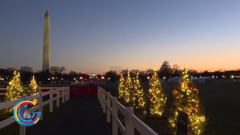 The 59 trees line the pathway of peace, standing in the shadow of the national Christmas tree,...